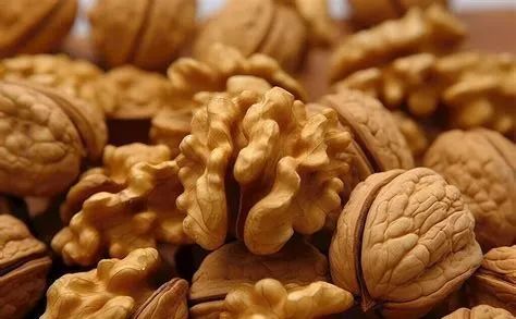 藏在殼里的“補腎王”！每天三顆，腰腿有勁睡得香